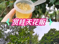 -桂林公园(地铁站)