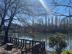 -井之头恩赐公园