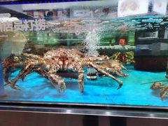 -盒马鲜生(大行宫店)
