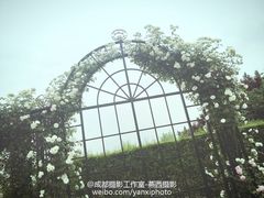 -燕西婚纱摄影工作室(友盛上都写字楼店)