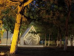 -长白岛森林公园