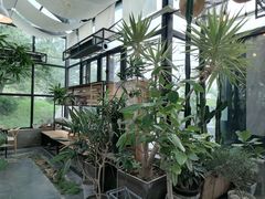-北马山庄植趣咖啡