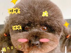 -北京恒爱动物医院(清景园分院)