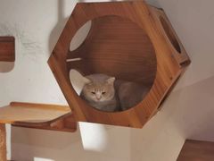 -听TA说宠咖·宠物生活馆(天韵水岸店)