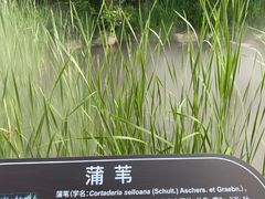-江苏三台山国家森林公园