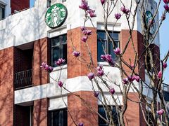 -星巴克(红房子店)