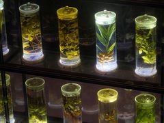 -广东中医药博物馆
