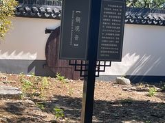 -上海佘山国家森林公园天马山园