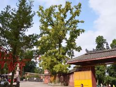 -金堂县云顶石城风景区