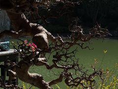 -云溪植物园