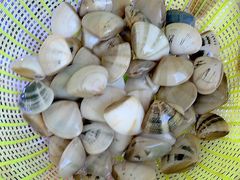 -金海湾海鲜排档(朱家尖店)