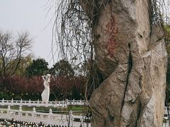 -丰台花园