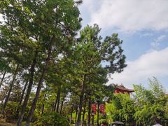 -茅山东方盐湖城景区