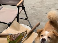 -Again Coffee Roaster(香蜜湖店)