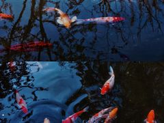 -三里河公园