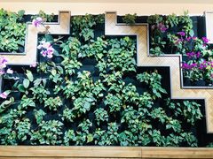 -Peet's Coffee皮爷咖啡(豫园店)