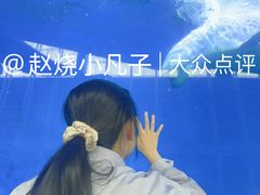 -泉城欧乐堡海洋极地世界