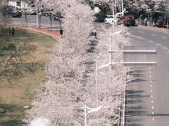 -幕燕滨江·燕子矶公园