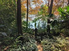 -深圳市中科院仙湖植物园