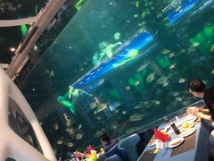 -瑞德姆美人鱼海底演艺主题餐厅(亚龙湾店)