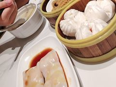 -东方早茶 海鲜•青岛菜(国信体育中心店)