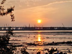 -宝安西湾红树林湿地公园