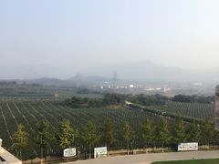 -北京张裕爱斐堡酒庄