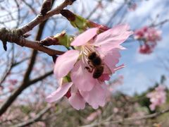 -聚龙山公园