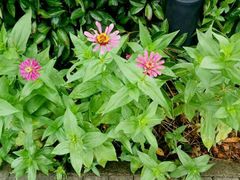 -帐篷客·溪龙茶谷度假酒店