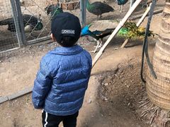 -呀路古热带植物园