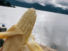 -小普陀