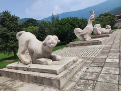 -北京十三陵国家森林公园蟒山景区