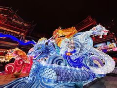 -绿波廊(豫园店)