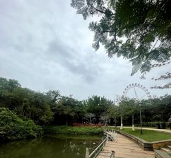 -白沙门公园游乐场