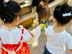 -水上乐园·欢乐世界