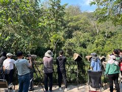 -南宁良凤江国家森林公园