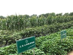 -上膳源有机农场