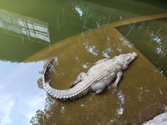 -广东茂名森林公园