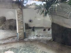 -成都动物园