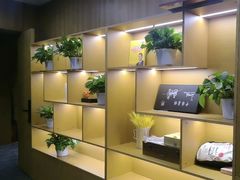 -静茗轩茶楼