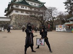 -名古屋城