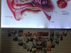 -自然之声助听器(平凉店)