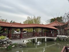 -上海醉白池公园