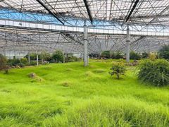 -呀路古热带植物园