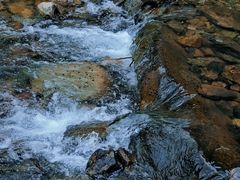 -北仑森林植物园