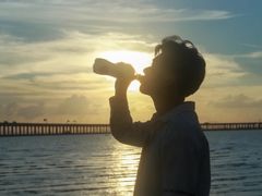 -宝安西湾红树林湿地公园