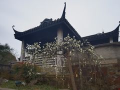 -无锡梅园公园