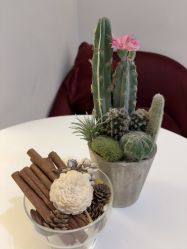 -VE专注问题肌·赛诺龙&科学美肤中心