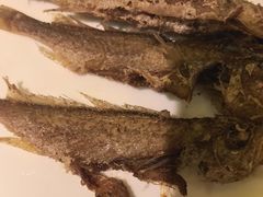 -龚海宝· 烧烤· 羊肉原切挂糊更好吃(庄市店)