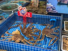 -渔港甄宴·海鲜·地标烟台菜(金沙滩店)